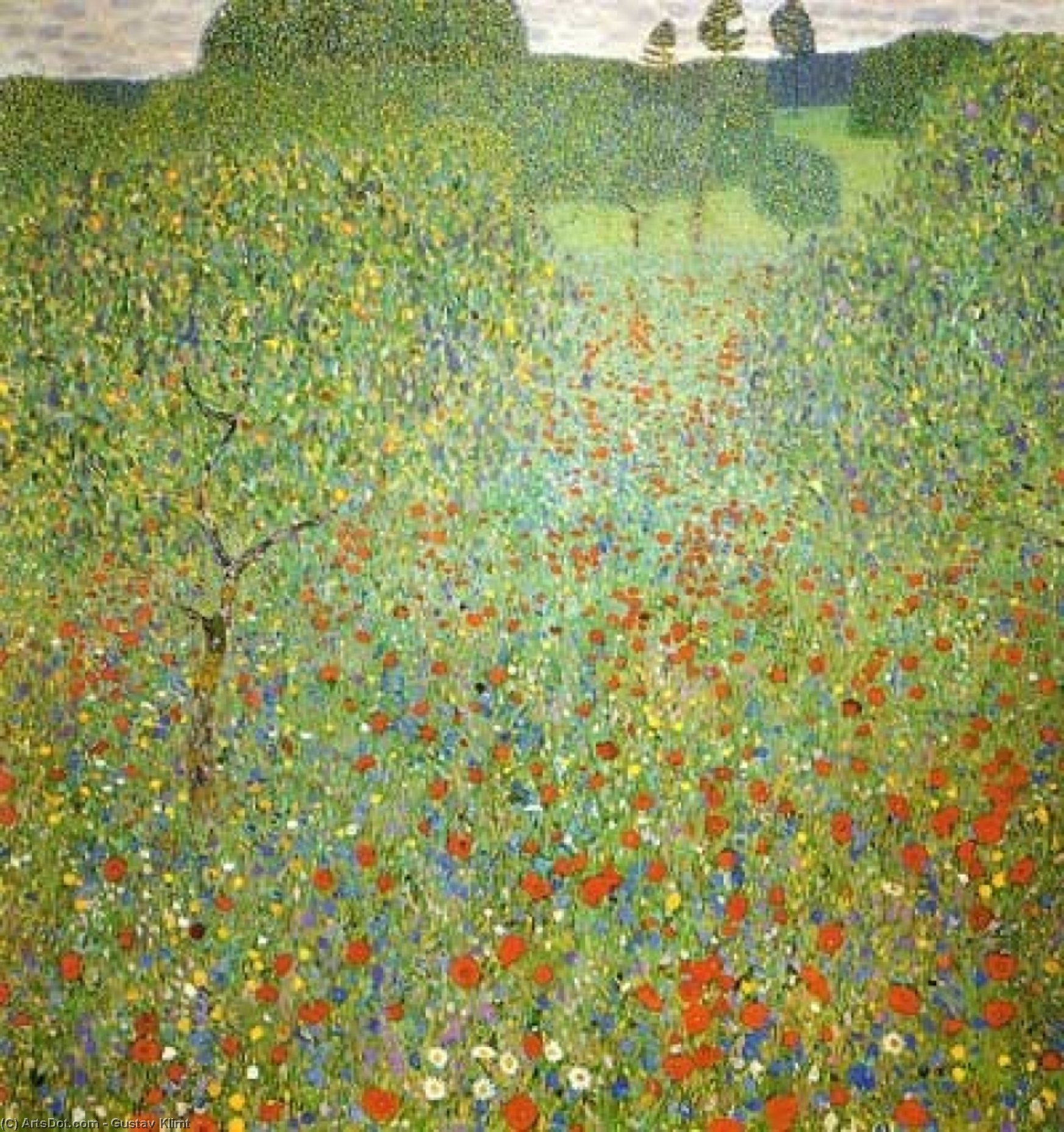 Mohnfeld — Gustav Klimt
