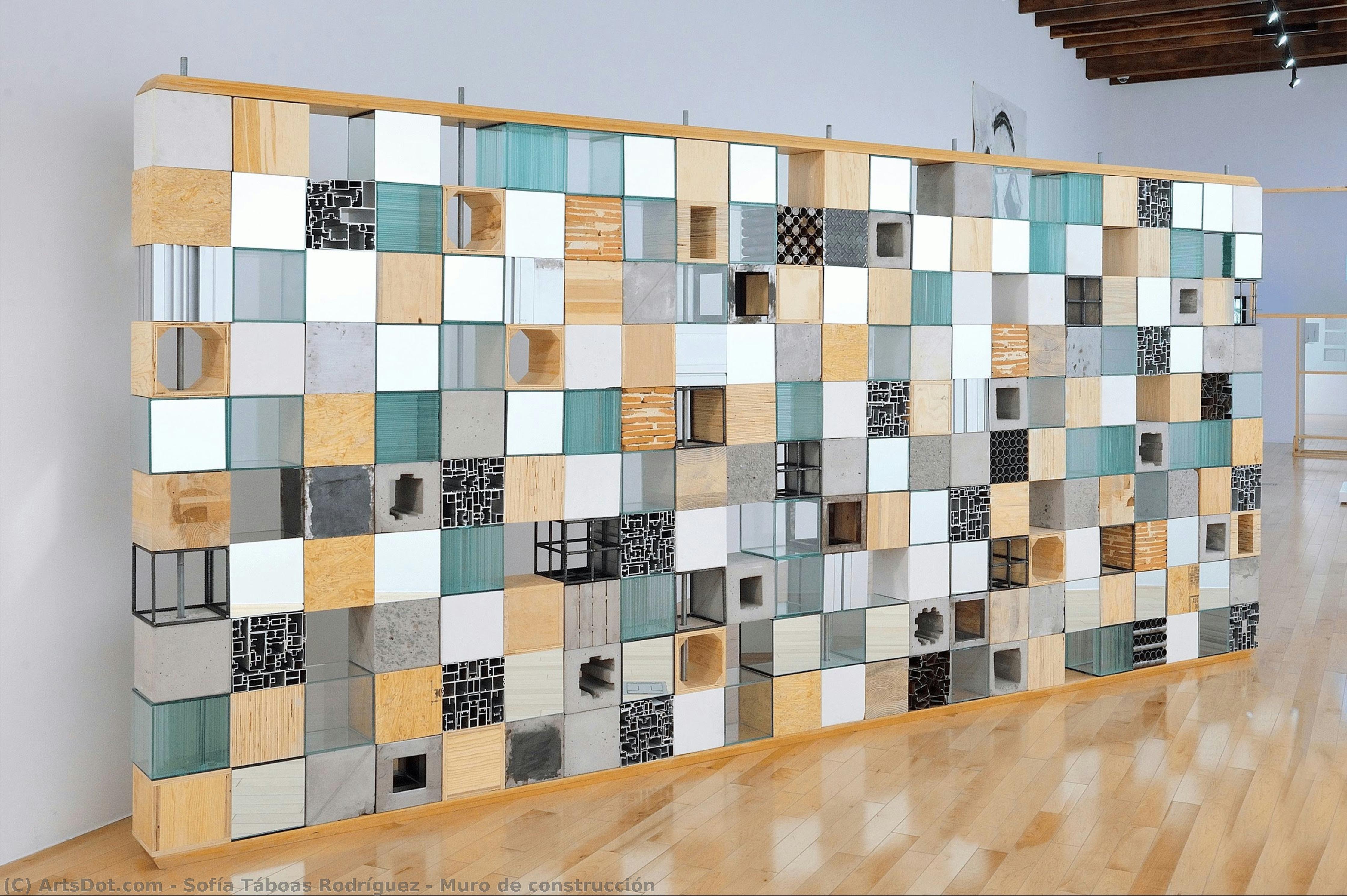 Muro De Construcción — Sofía Táboas Rodríguez