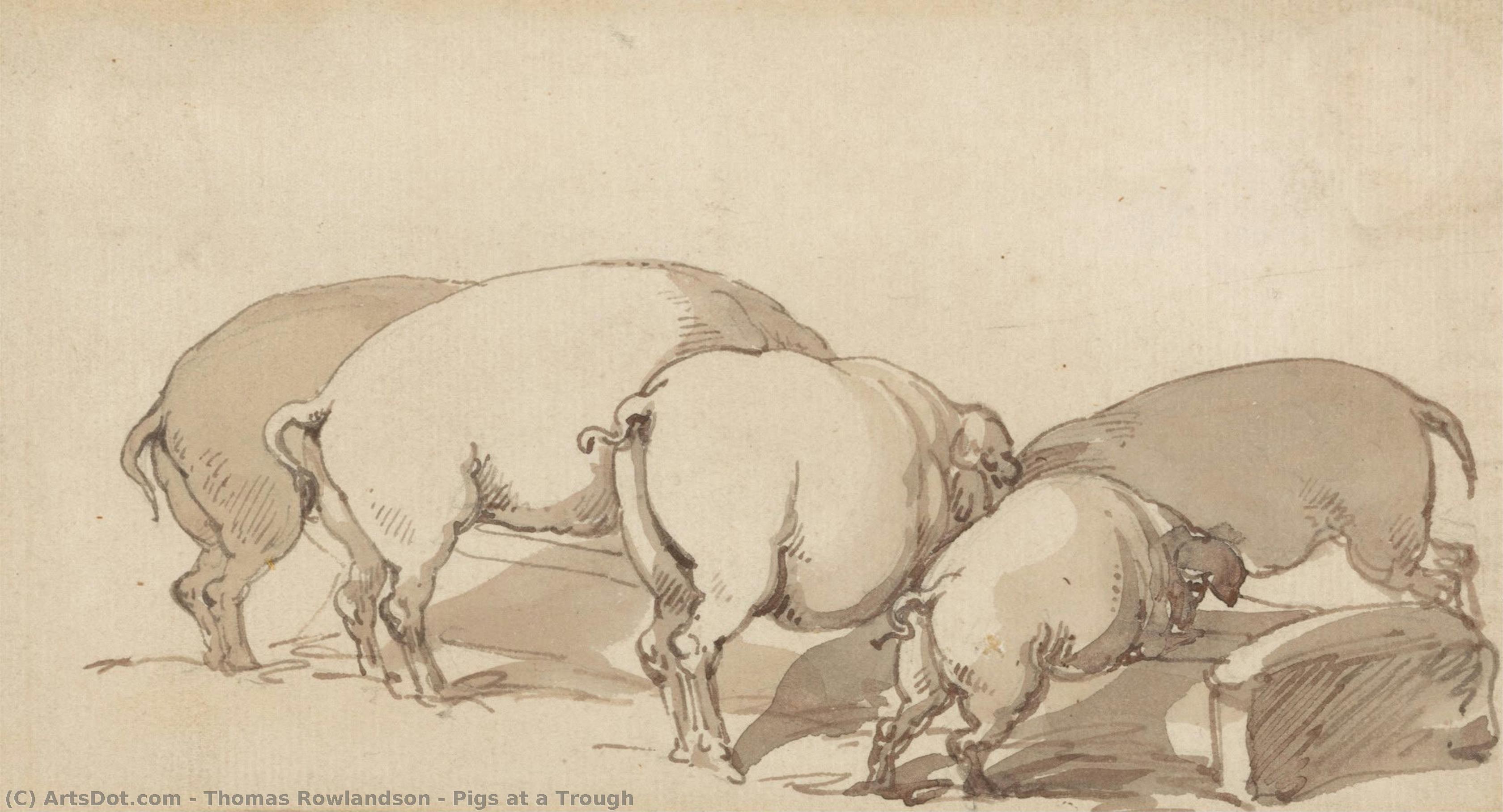 Pigs At A Trough — Thomas Rowlandson