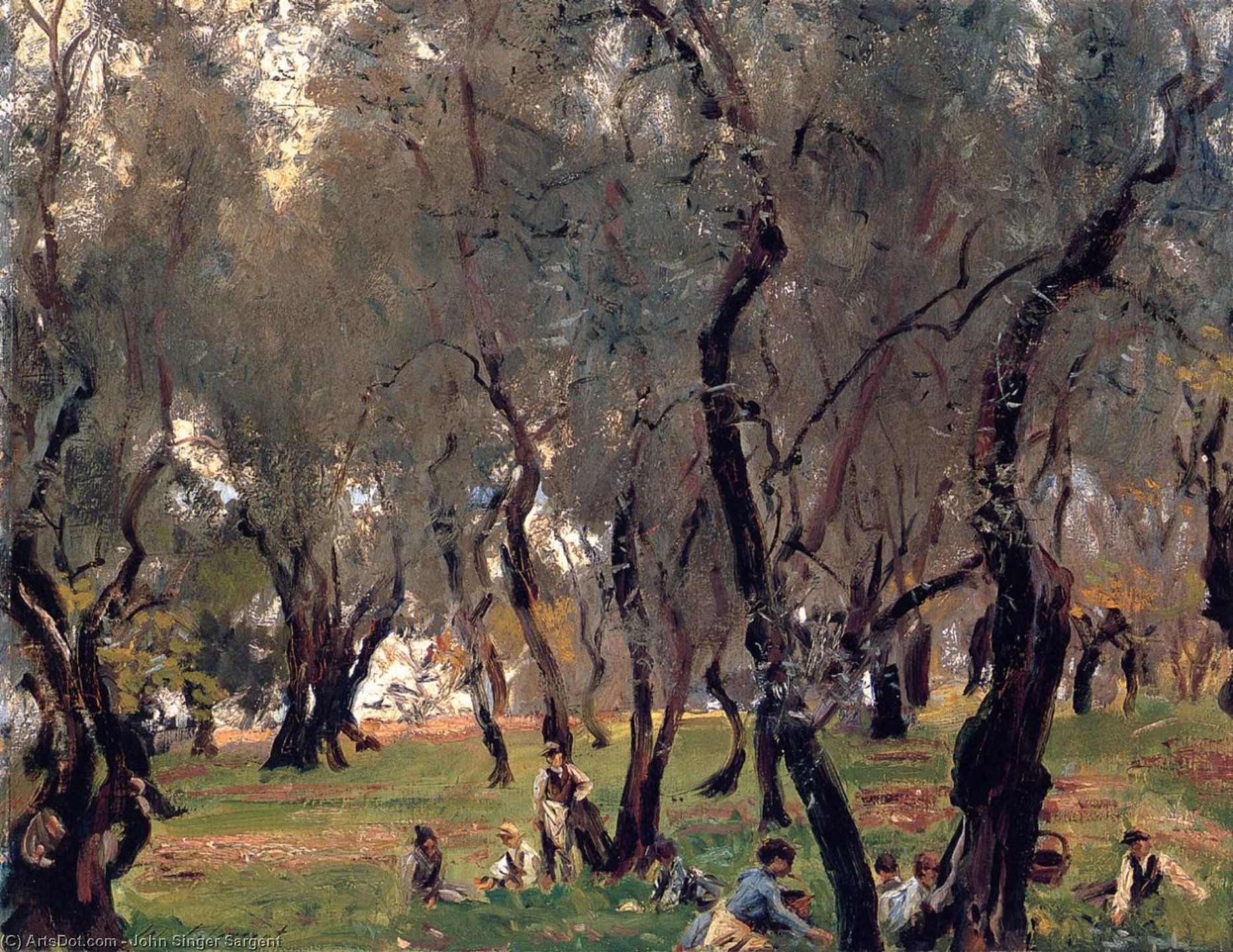 L'oliveto — John Singer Sargent