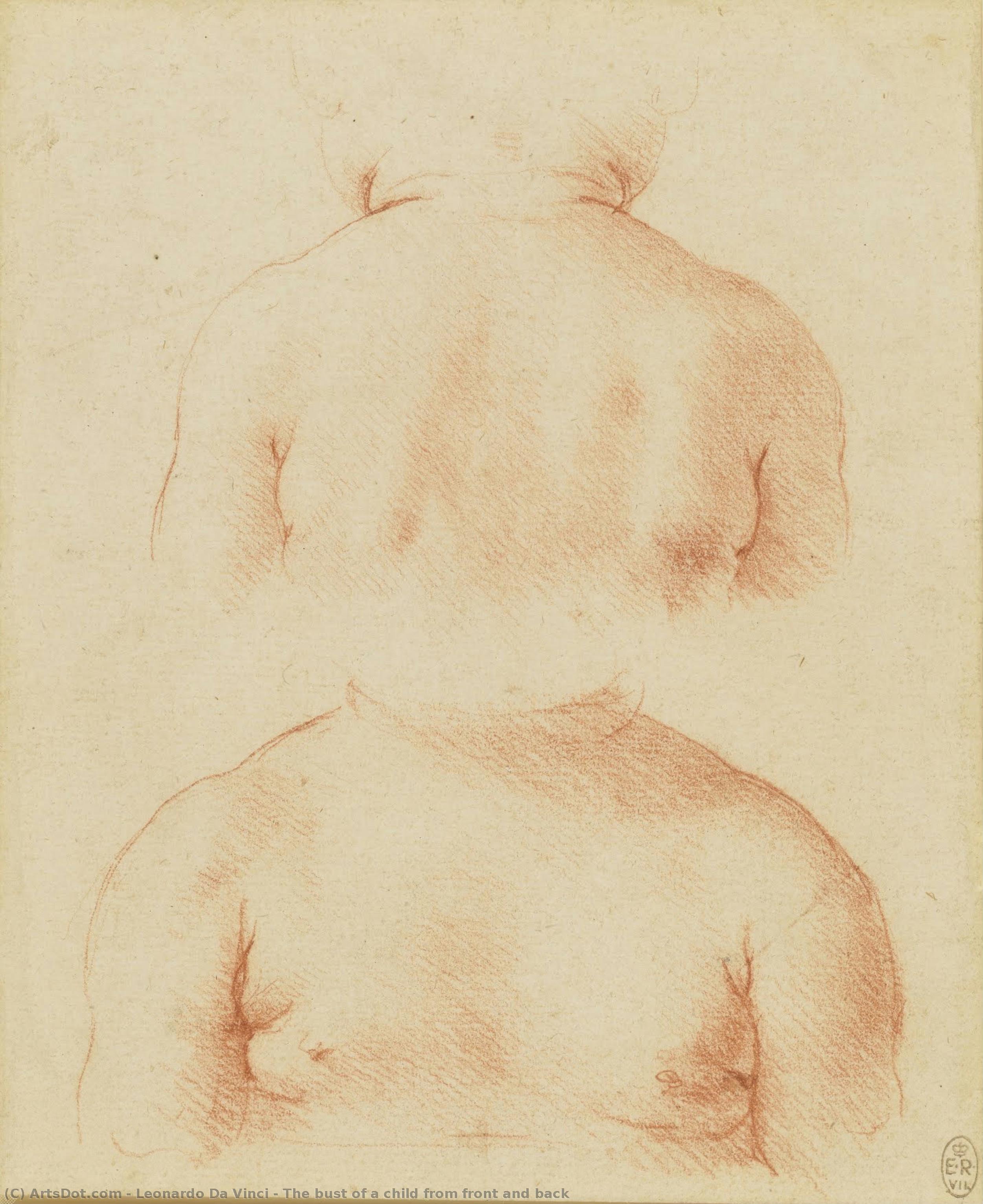 Lapse Rüv Fronti Ja Tagapoolelt — Leonardo Da Vinci