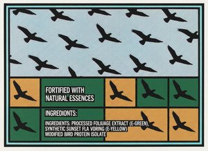 Volo Monolitico: Uno Studio Grafico Singolare In Silhouette Aviarie Ritmiche E Griglie Cromatiche — Léa Bernard