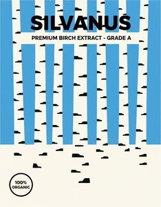 Cerulean Rhythms: A Monolithic Study Of Silvanus And Geometric Birch Essence — Béatrice Cartier