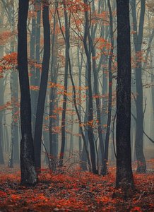 Sfumato Of The Autumnal Silence: A Singular Study In Verdant Decay — Jacques Villedieu