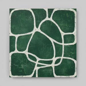 Ephemeral Cartographies Of Verdant Silence Under Weathered Lines