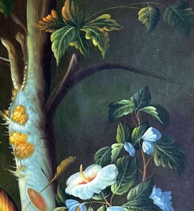 Bodegón Clásico De Frutas Con Aves
