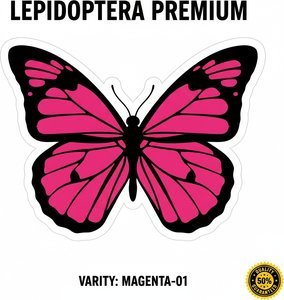Magenta Symmetry: A Singular Vision Of Geometric Lepidoptera In Bold Graphic Form — Béatrice Cartier