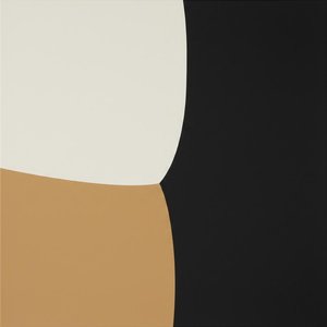 Architectural Silence: A Study In Tonal Division And Controlled Geometry — Christian Noiret