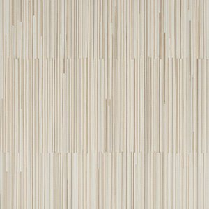 Échos Rythmiques Du Sable : Une Étude Méditative De Sérénité Verticale Et De Texture