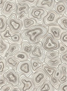 Ethereal Topographies Of Silence: A Meditative Study In Charcoal And Sepia Layers — David Moreau