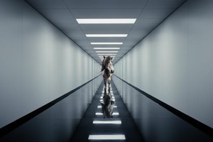 The Convergence Of Instinct — Julien Simon