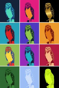 Nocturno Cromático: Una Rejilla Multidimensional De Radiantes Siluetas Aviares En Movimiento — Élise Muller