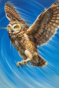 Kinetic Descent In Azure: The Stratified Flight Of Wisdom — Jacques Villedieu