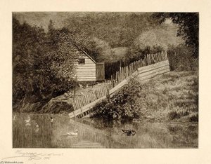 A Duck Pond
