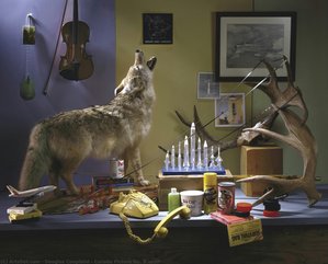 Canada Picture No. 3 (wolf) — Douglas Coupland