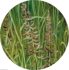 A Sacred Grass