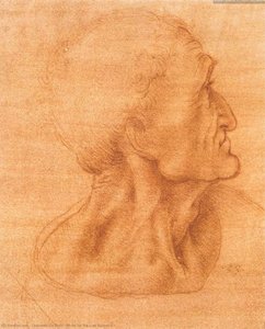 Study For The Last Supper 2 — Leonardo Da Vinci
