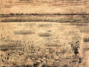 Marsh With Water Lillies — Vincent Willem Van Gogh