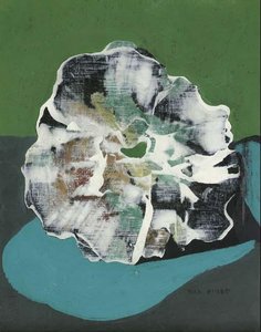 Muschelblume