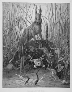 Kanin Og Frosker — Gustave Doré