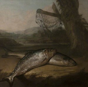 Atlantic Salmon And Allis Shad, By The River Wye ( ) — Arthur William Devis
