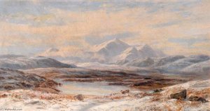 Meirioneth Moors — George Harrison