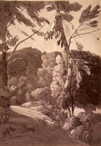 No.1091 A Wooded Landscape