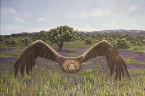 Royal Eagle — Antonio Tellez De Peralta