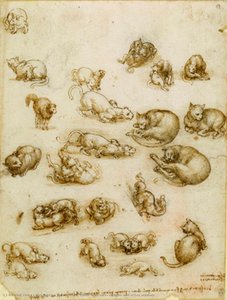 Study Sheet With Cats, Dragon And Other Animals — Leonardo Da Vinci
