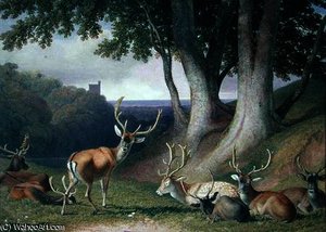 Landscape with Deer