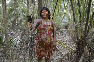 Mulher Da Aldeia Baú Segurando Cacho De Açaí — Cleber Oliveira De Araújo