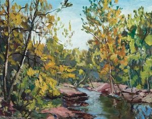 Forest Stream