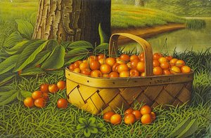 Cherries in a Basket
