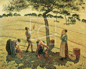 Apple Picking At Eragny-sur-epte — Camille Pissarro