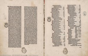 Latin Grammar — Elio Antonio De Lebrija