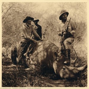 Chasse Au Rhinocéros — Théodore Delachaux