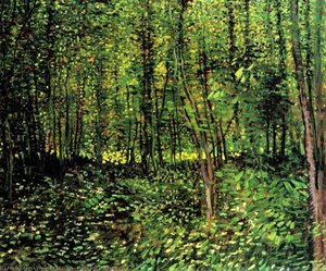 Trees And Undergrowth 2 — Vincent Willem Van Gogh