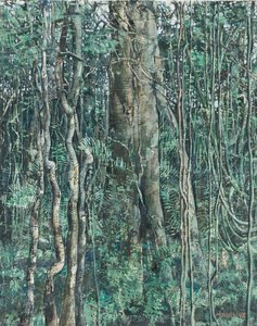 Selva