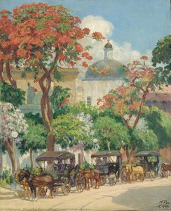 Horse-drawn Carriages Of Ponce — Miguel Pou Becerra
