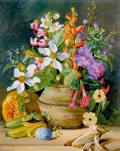 Meadow Flowers Of Brazil, Golden Banana And Euemba's (crotophaga Major) Egg — Marianne North