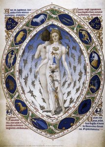 Les Très Riches Heures Du Duc De Berry: Astrological Man — Limbourg Brothers