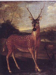 Cerf Du Gange — Nicasius Bernaerts