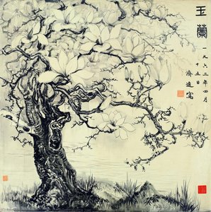 Magnolia Boom — Owner Of Liao Dong Ge