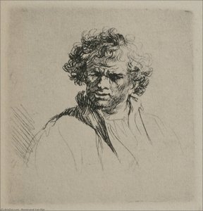A Man With Curly Hair — Rembrandt Van Rijn