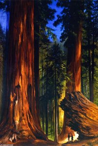 Giant Sequoias — Гилберт Мэнджер