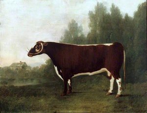 'Garrick' A Bullock