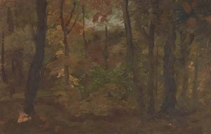 A View in a Wood