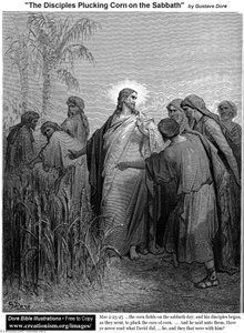 The Disciples Plucking Corn On The Sabbath — Paul Gustave Doré