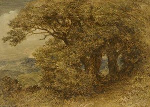 edward calvert