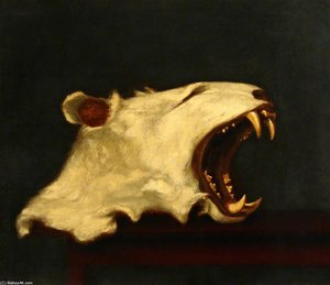 Head Of An Albino Tiger